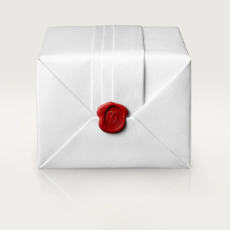 1895 EARRINGS - Image 3