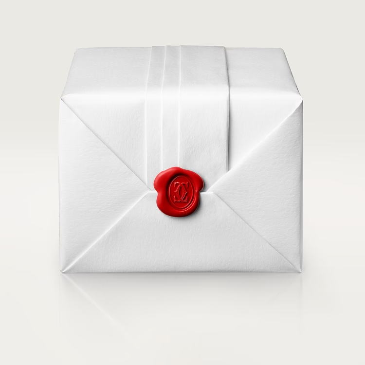 PANTHERE DE WATCH,MEDIUM MODEL - Image 3