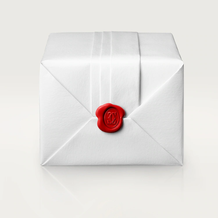 PANTHERE DE WATCH SMALL MODEL - Image 7