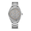 Omega Seamaster Railmaster Watch, 40mm Grey Dial, 220.10.40.20.06.001