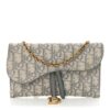 Oblique Saddle Chain Long Wallet Grey