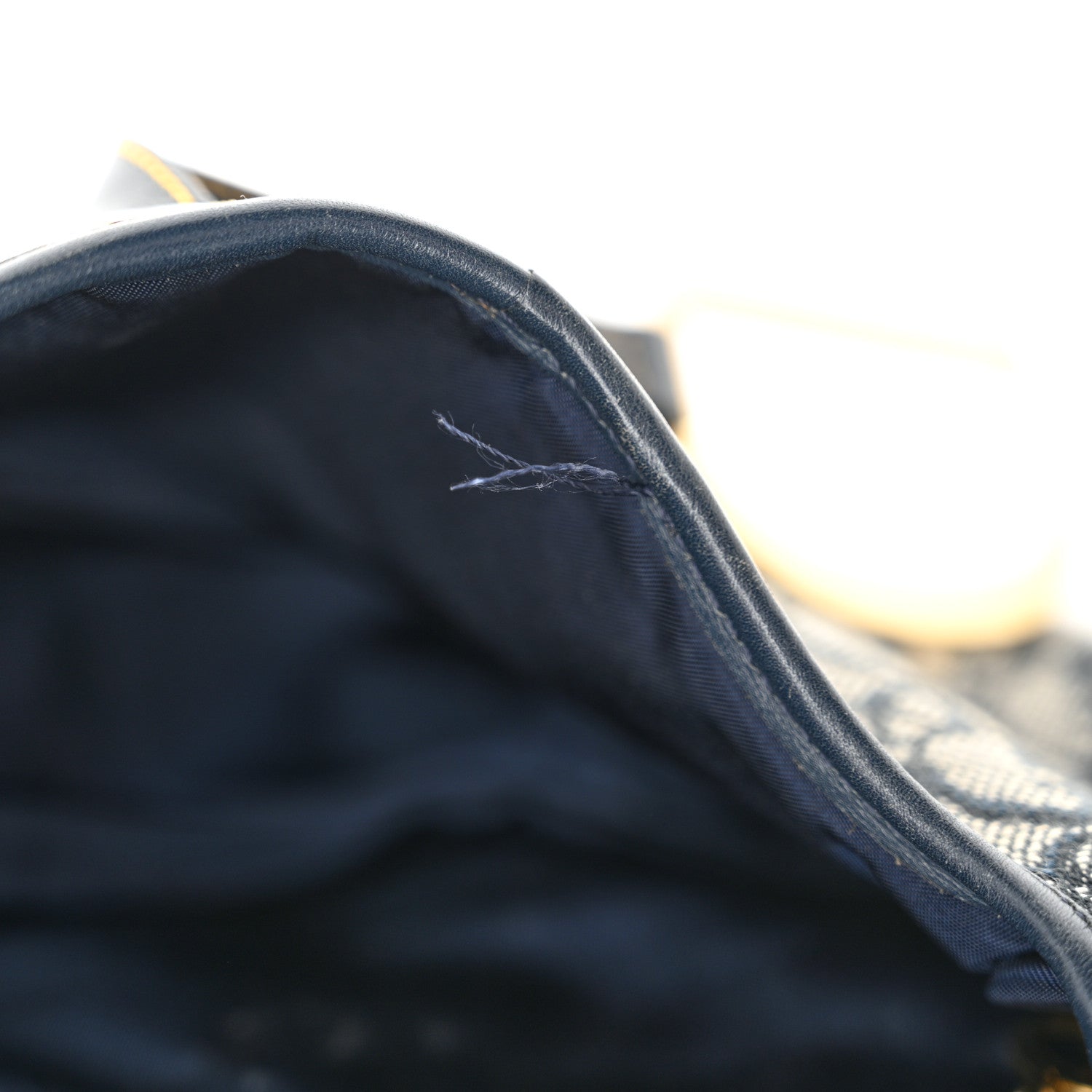 Monogram Saddle Bag Blue - Image 11