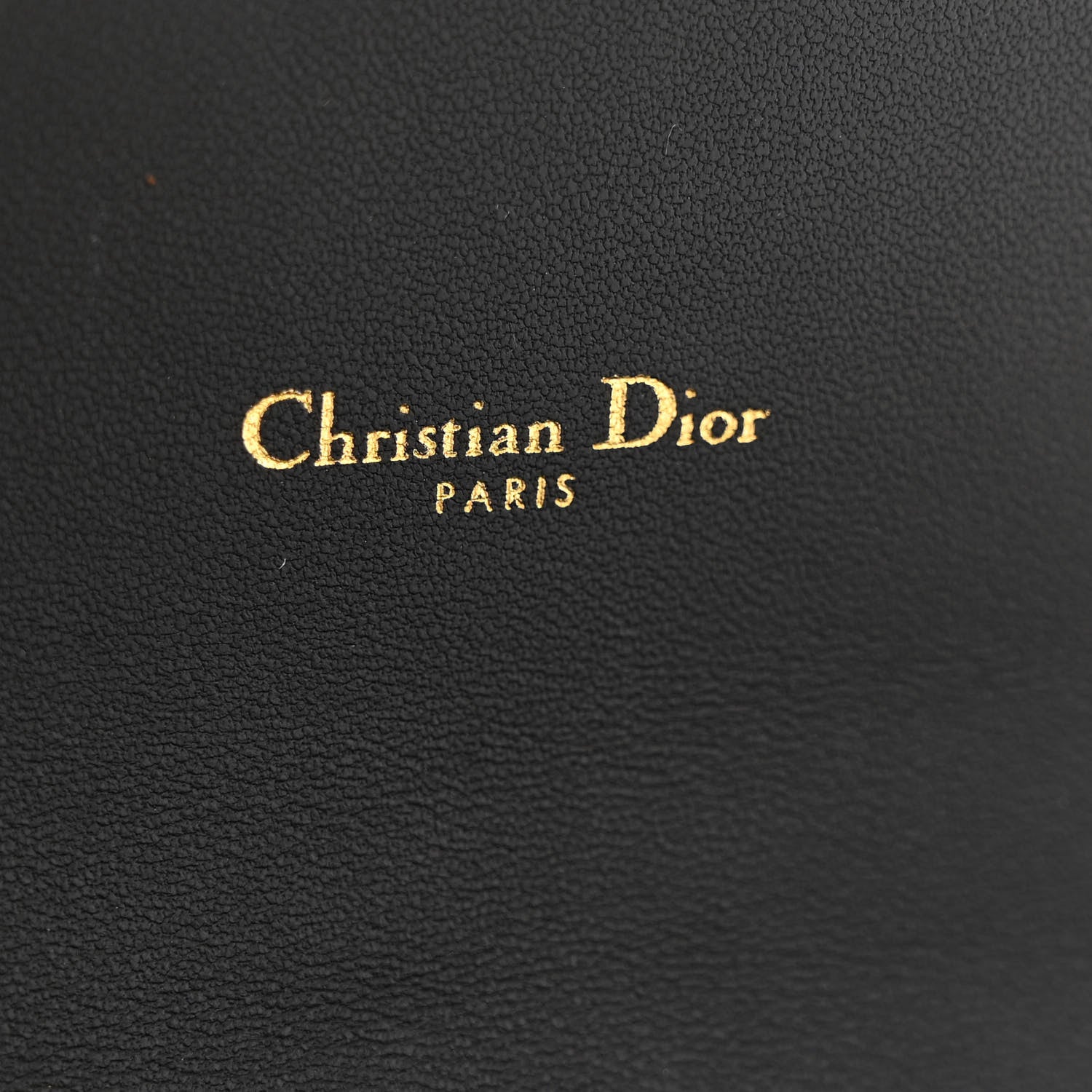 Supple Calfskin Caro Pouch with Chain Black - Image 6