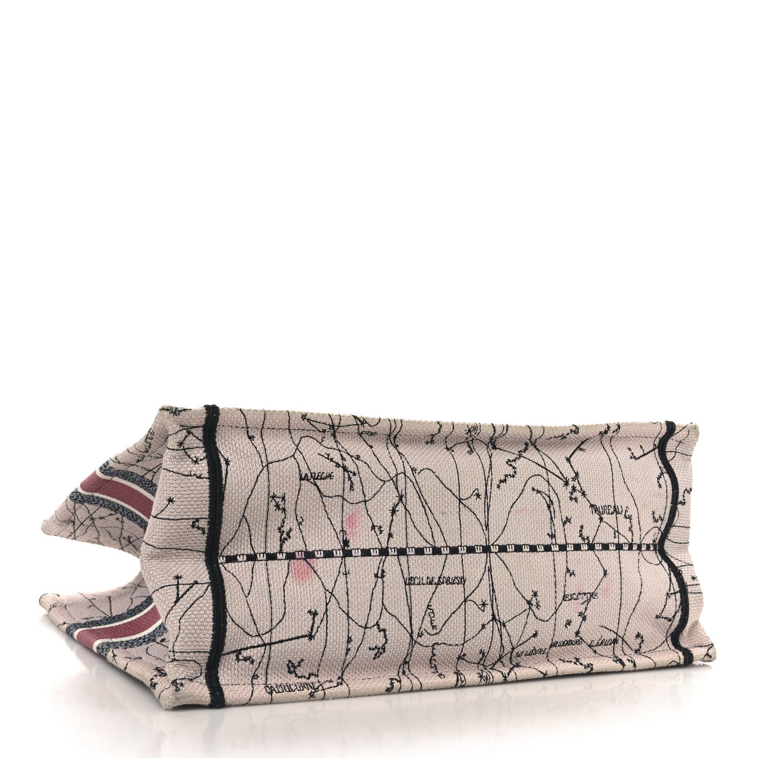 Canvas Embroidered Medium Zodiac Book Tote Latte Multicolor - Image 4