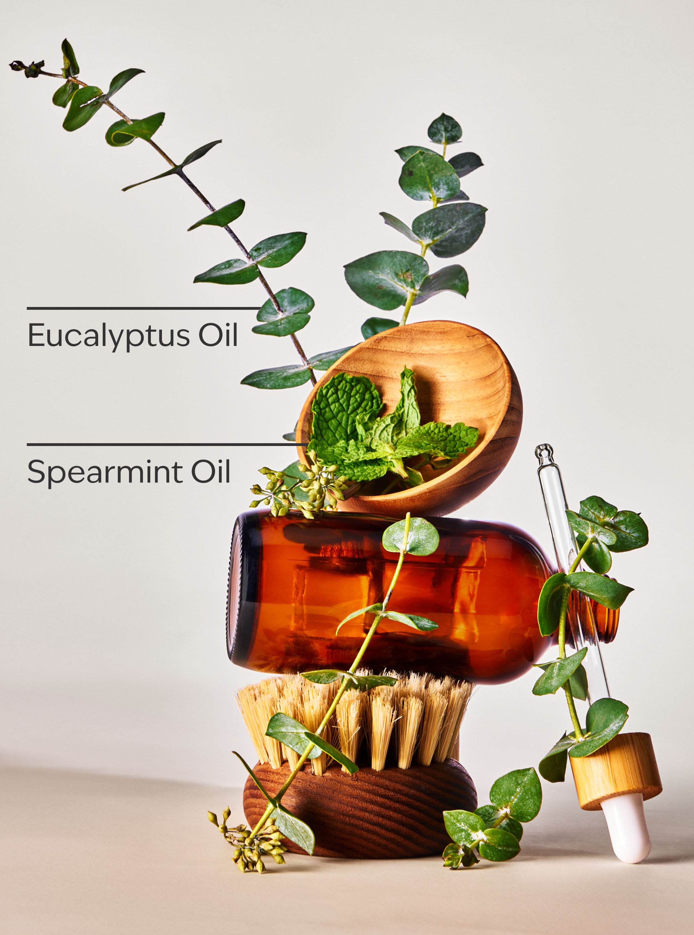 Eucalyptus Spearmint - Image 3