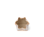 Noé BB